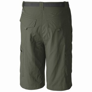 Columbia Silver Ridge™ Cargo Short Herr Gröna (EWMHT8352)